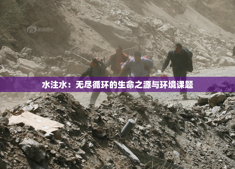水注水：无尽循环的生命之源与环境课题