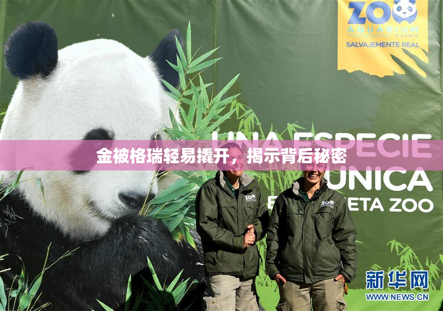 金被格瑞轻易撬开，揭示背后秘密