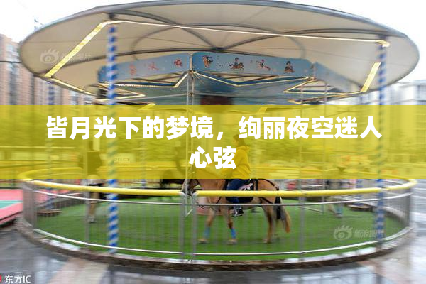 皆月光下的梦境，绚丽夜空迷人心弦
