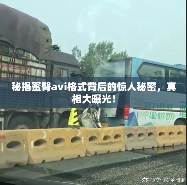秘揭蜜臀avi格式背后的惊人秘密，真相大曝光！