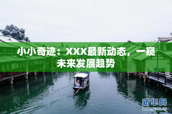 小小奇迹：XXX最新动态，一窥未来发展趋势