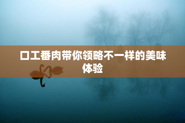 口工番肉带你领略不一样的美味体验