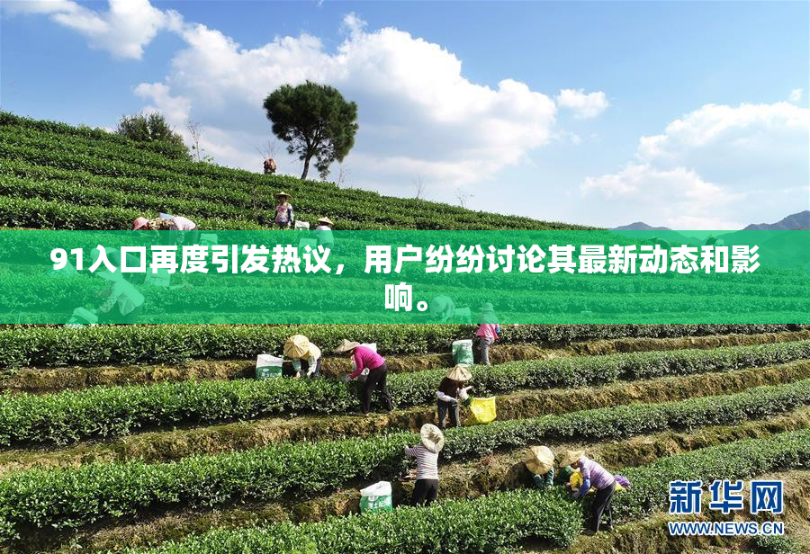 91入口再度引发热议，用户纷纷讨论其最新动态和影响。
