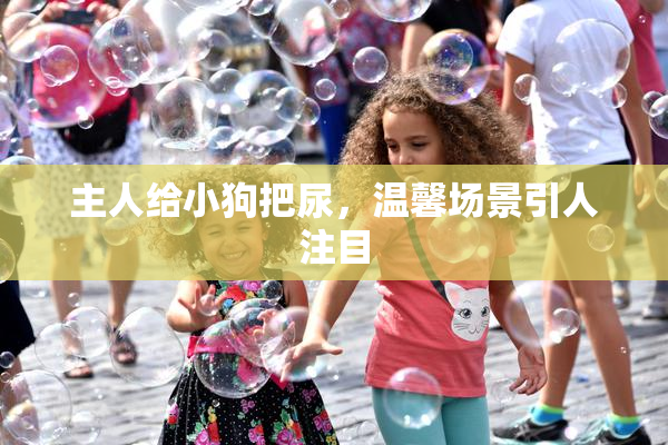 主人给小狗把尿，温馨场景引人注目