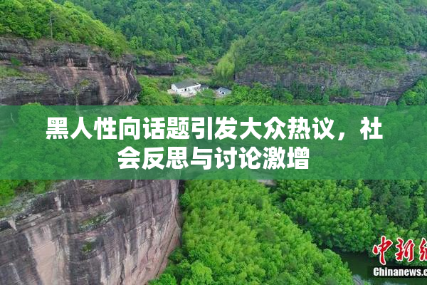 黑人性向话题引发大众热议，社会反思与讨论激增