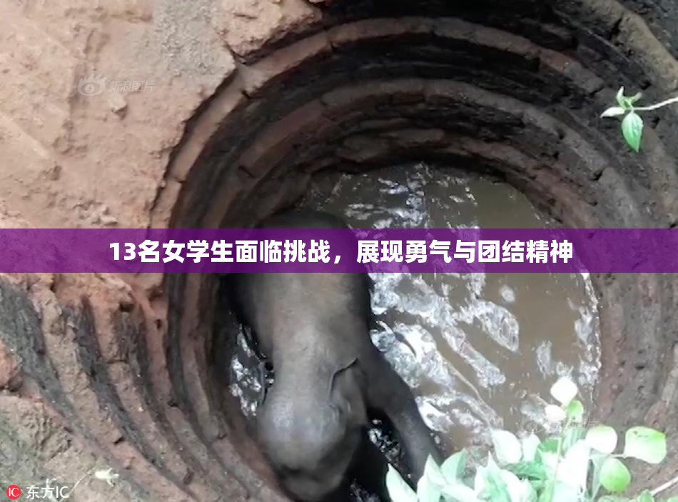 13名女学生面临挑战，展现勇气与团结精神