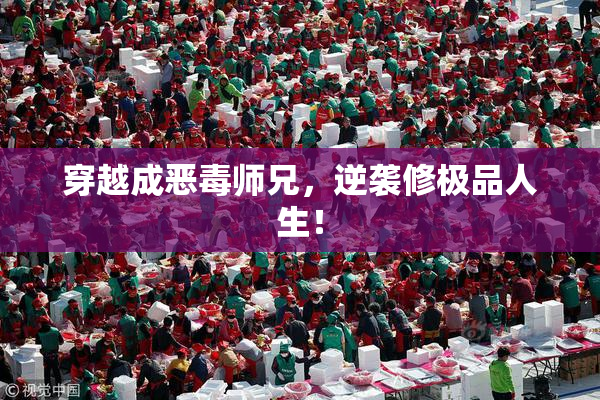 穿越成恶毒师兄，逆袭修极品人生！