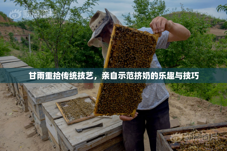 甘雨重拾传统技艺，亲自示范挤奶的乐趣与技巧