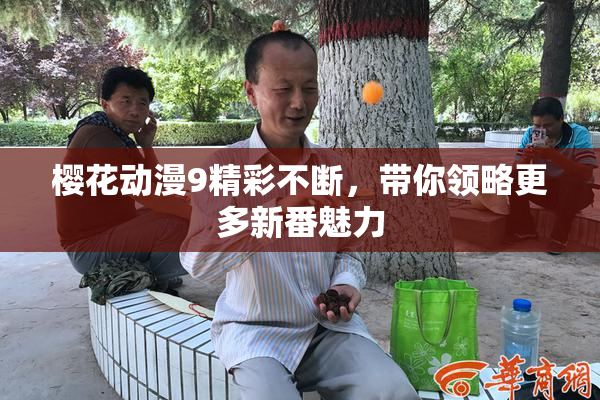 樱花动漫9精彩不断，带你领略更多新番魅力