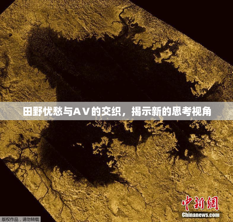 田野忧愁与AⅤ的交织，揭示新的思考视角