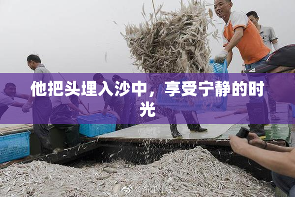 他把头埋入沙中，享受宁静的时光