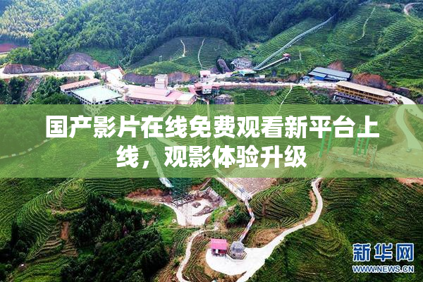 国产影片在线免费观看新平台上线，观影体验升级