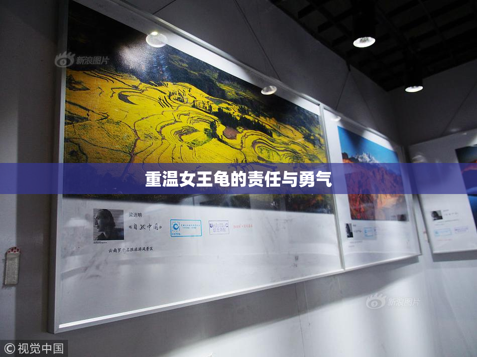 重温女王龟的责任与勇气