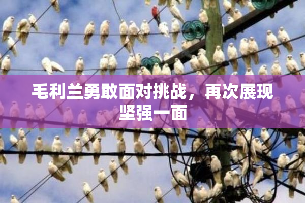 毛利兰勇敢面对挑战，再次展现坚强一面