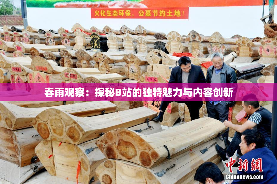 春雨观察：探秘B站的独特魅力与内容创新