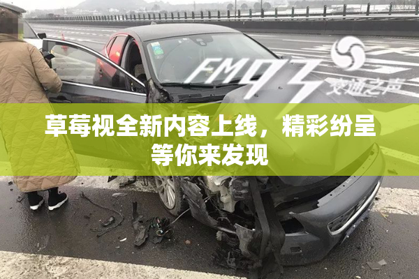 草莓视全新内容上线，精彩纷呈等你来发现