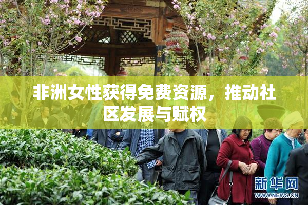 非洲女性获得免费资源，推动社区发展与赋权