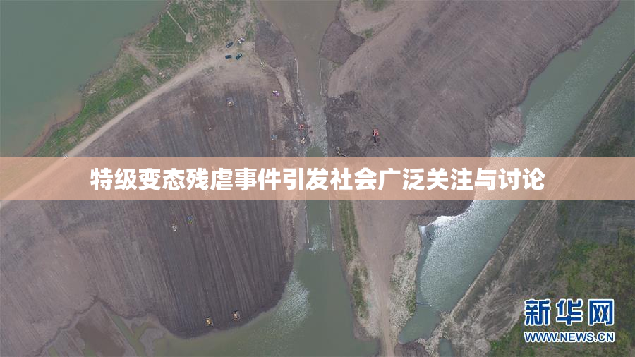 特级变态残虐事件引发社会广泛关注与讨论