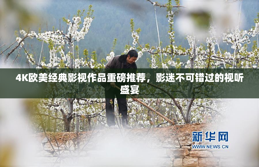 4K欧美经典影视作品重磅推荐，影迷不可错过的视听盛宴