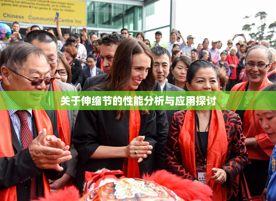 关于伸缩节的性能分析与应用探讨