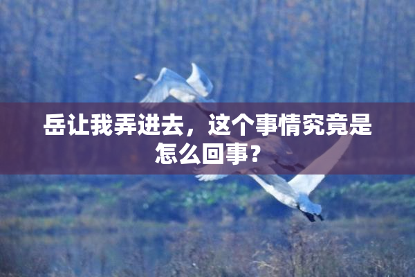 岳让我弄进去，这个事情究竟是怎么回事？