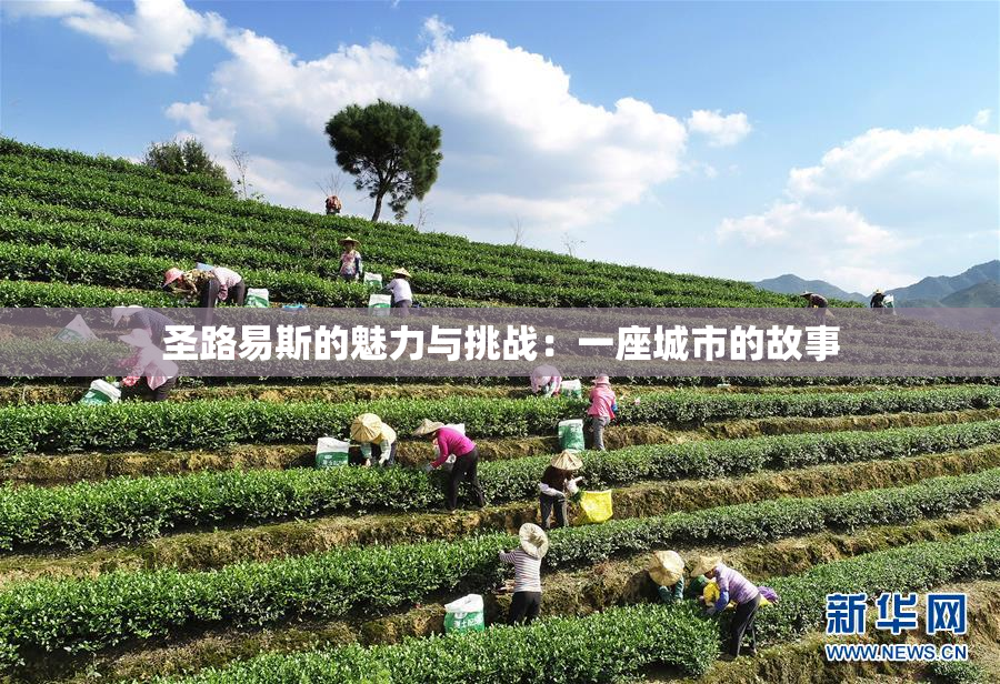 圣路易斯的魅力与挑战：一座城市的故事