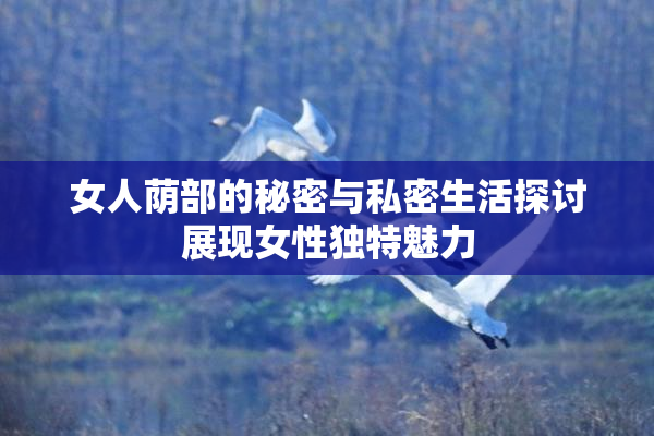 女人荫部的秘密与私密生活探讨展现女性独特魅力