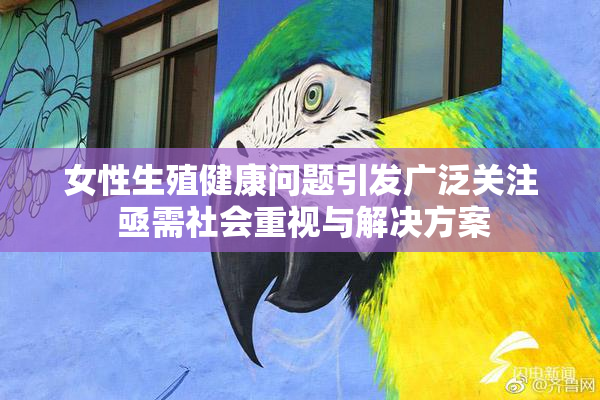 女性生殖健康问题引发广泛关注 亟需社会重视与解决方案