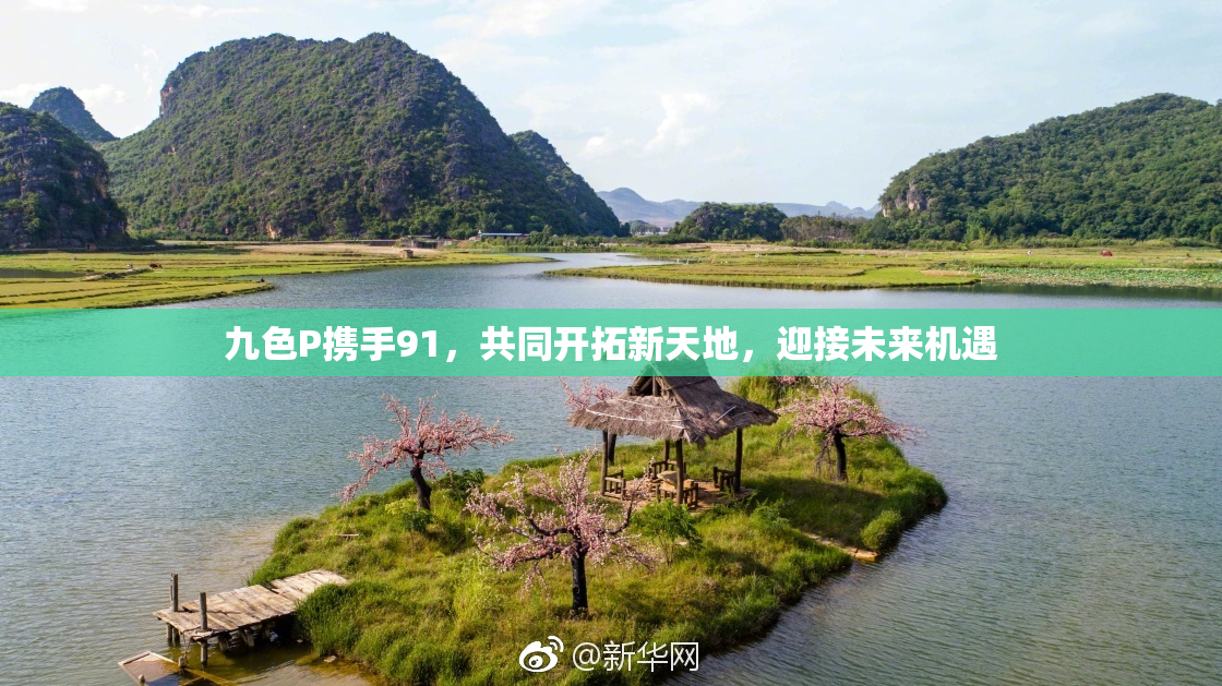 九色P携手91，共同开拓新天地，迎接未来机遇