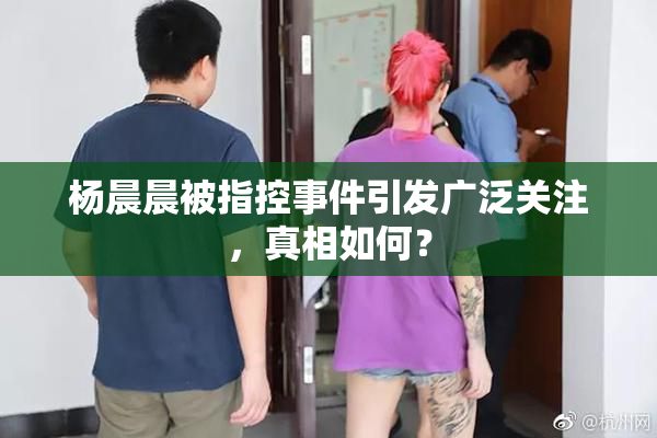 杨晨晨被指控事件引发广泛关注，真相如何？