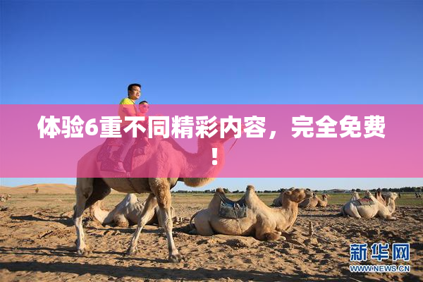 体验6重不同精彩内容，完全免费！