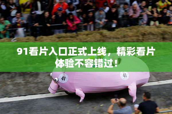 91看片入口正式上线，精彩看片体验不容错过！