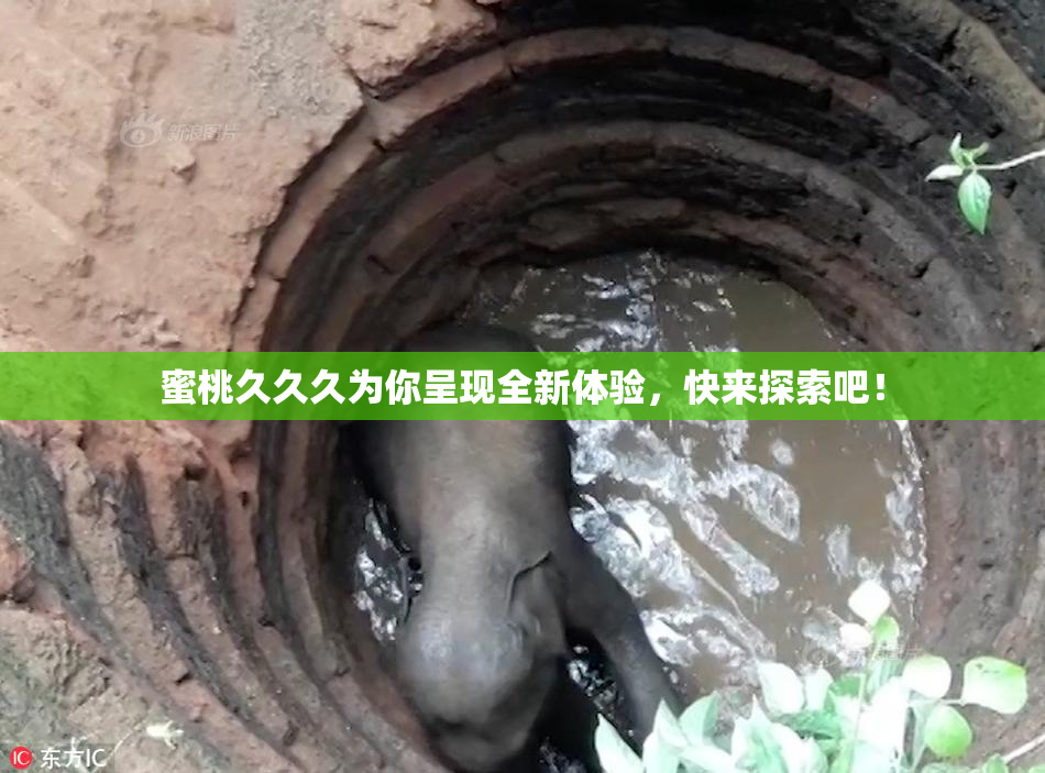 蜜桃久久久为你呈现全新体验，快来探索吧！