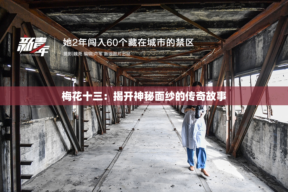 梅花十三：揭开神秘面纱的传奇故事