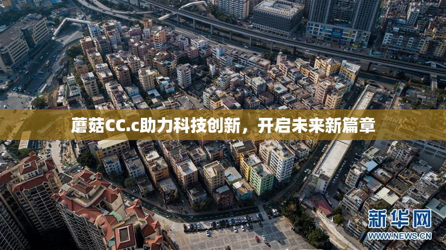 蘑菇CC.c助力科技创新，开启未来新篇章