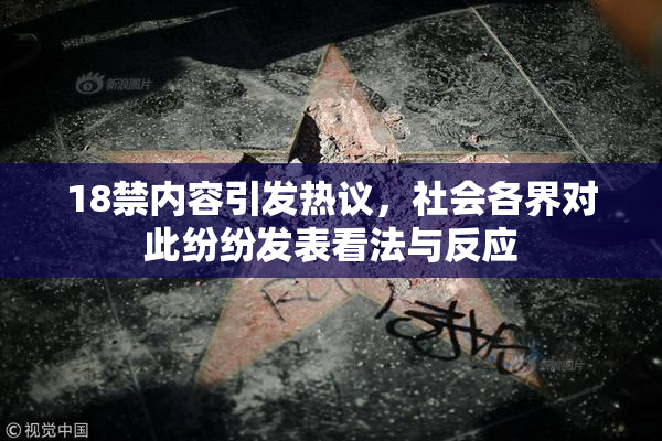 18禁内容引发热议，社会各界对此纷纷发表看法与反应