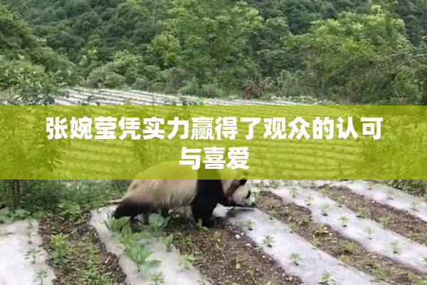 张婉莹凭实力赢得了观众的认可与喜爱