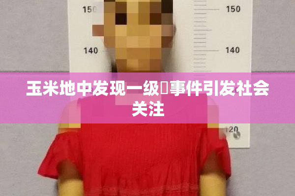 玉米地中发现一级婬事件引发社会关注