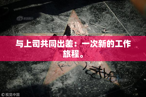 与上司共同出差：一次新的工作旅程。
