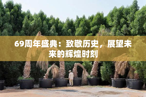 69周年盛典：致敬历史，展望未来的辉煌时刻