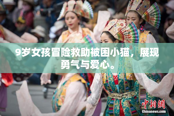 9岁女孩冒险救助被困小猫，展现勇气与爱心。