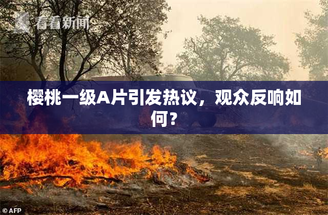 樱桃一级A片引发热议，观众反响如何？