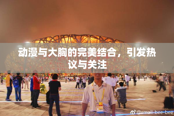 动漫与大胸的完美结合，引发热议与关注