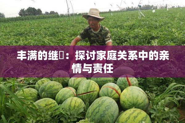 丰满的继牳：探讨家庭关系中的亲情与责任