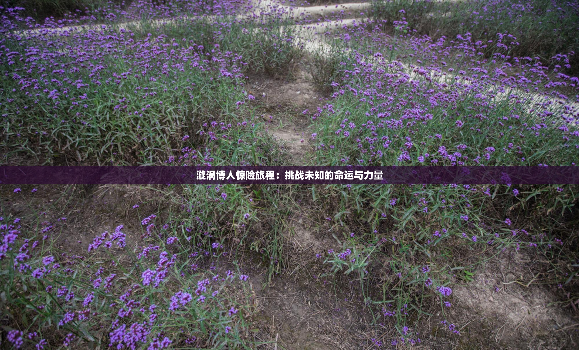 漩涡博人惊险旅程：挑战未知的命运与力量