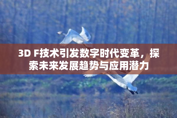 3D F技术引发数字时代变革，探索未来发展趋势与应用潜力