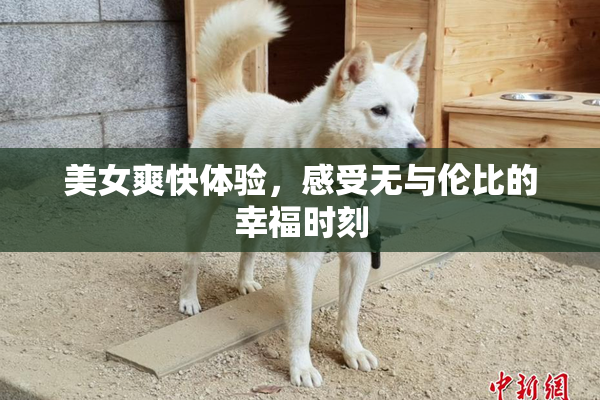 美女爽快体验，感受无与伦比的幸福时刻