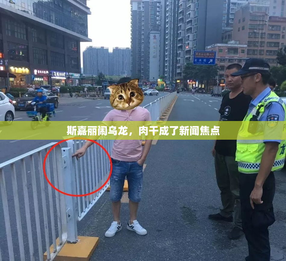 斯嘉丽闹乌龙，肉干成了新闻焦点