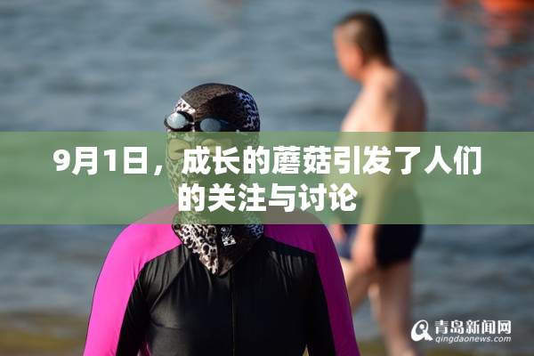 9月1日，成长的蘑菇引发了人们的关注与讨论