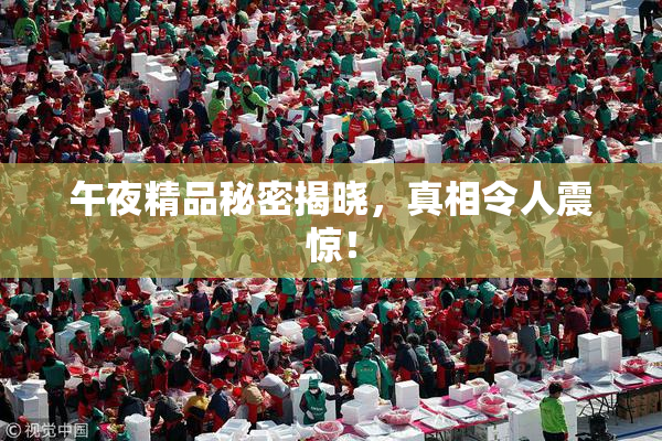 午夜精品秘密揭晓，真相令人震惊！